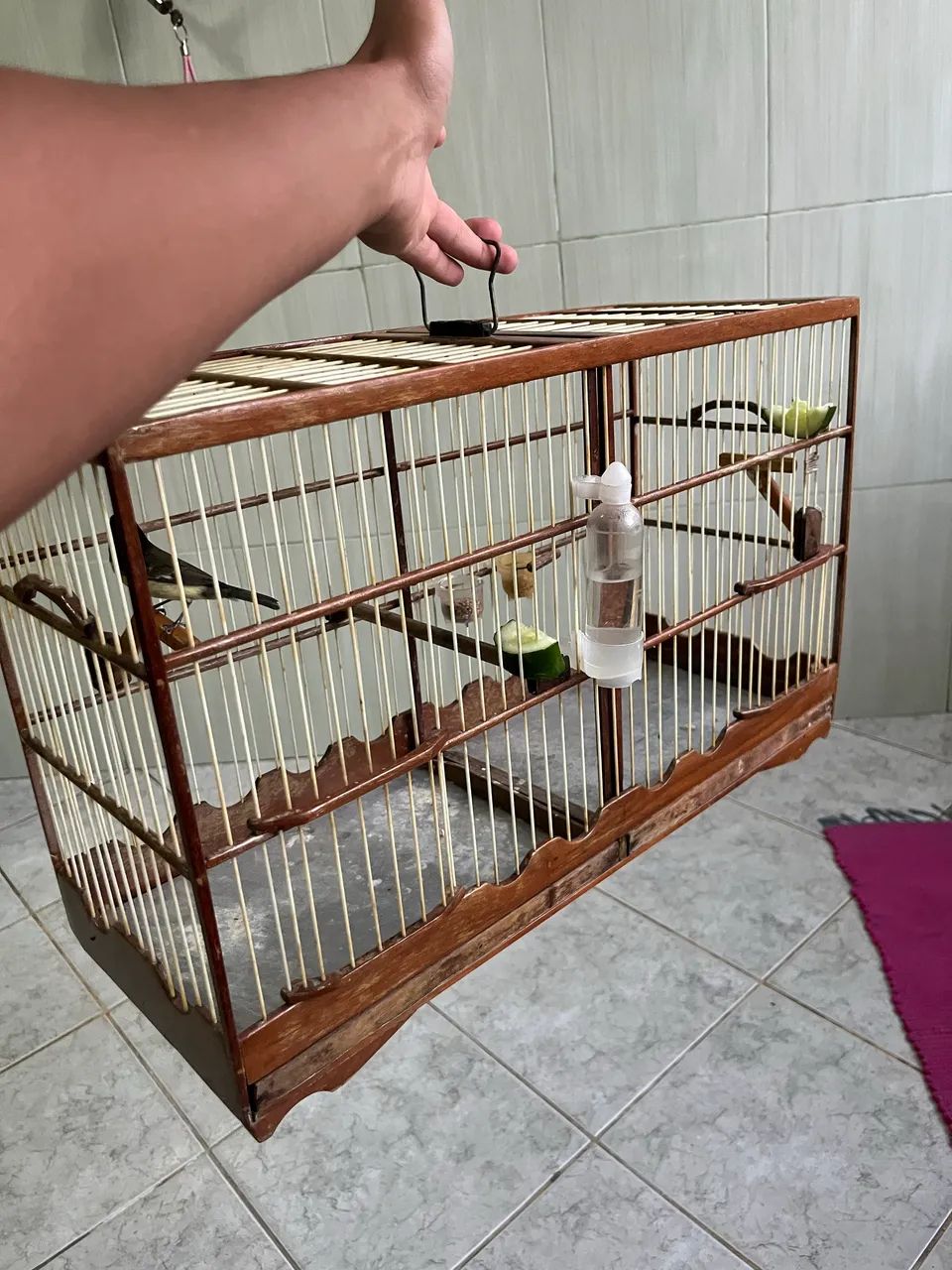 Gaiola