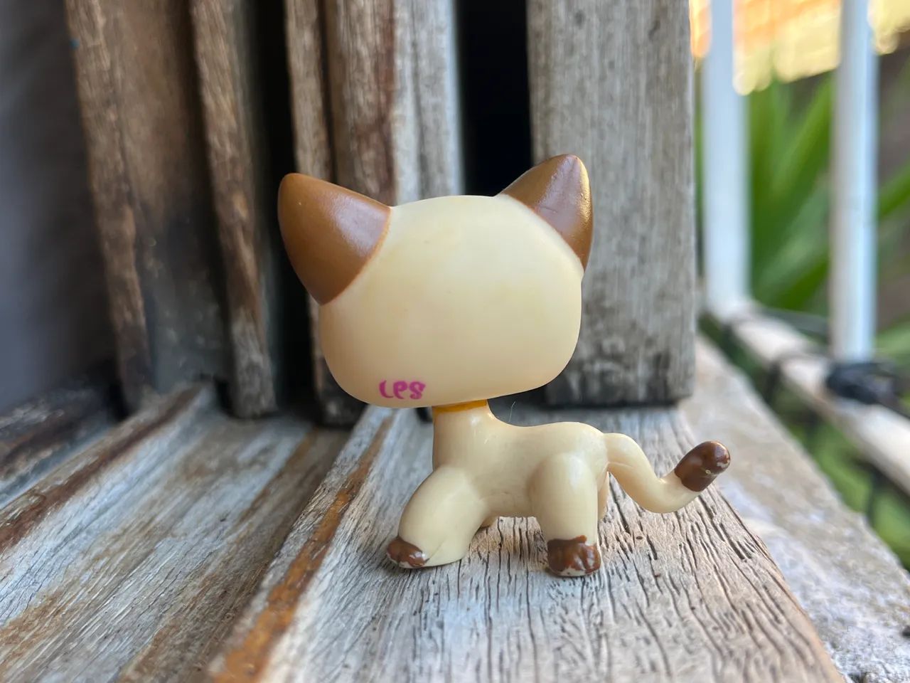 Lps - Shorthair #3573 - Foto 2
