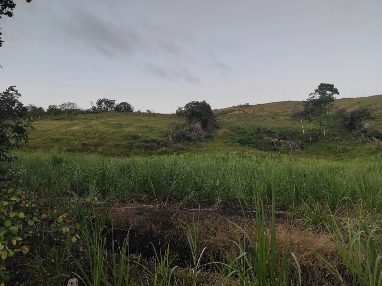 Fazenda a venda em capela 