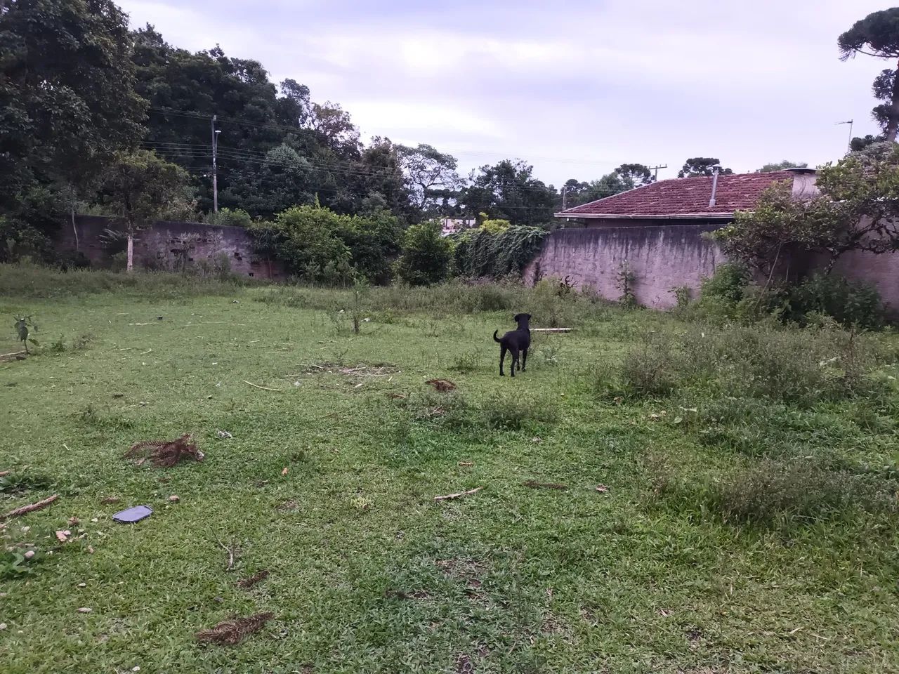 Foto - Piraquara - Jardim dos Estados 3