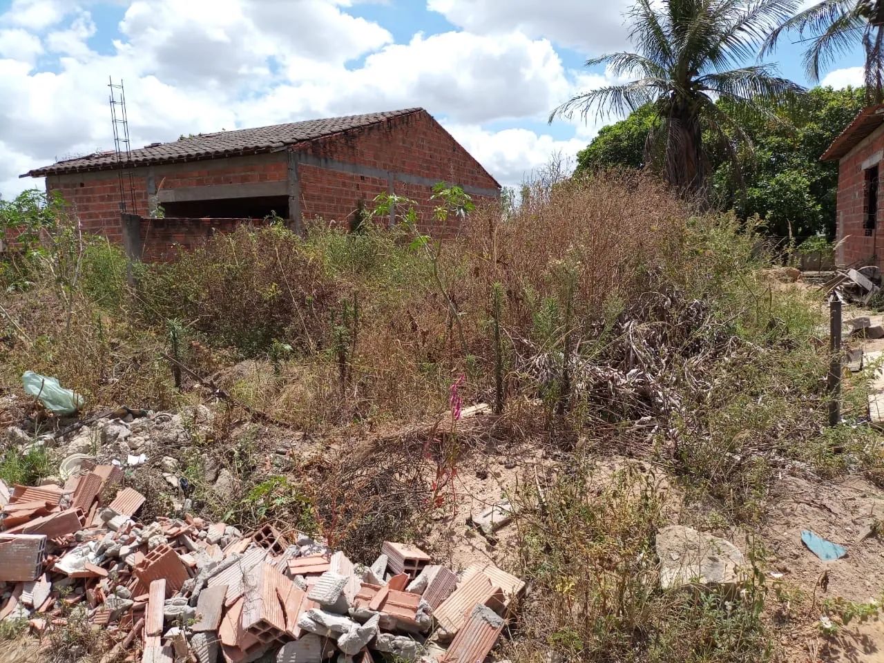 TERRENO NO BAIRRO MASSARANDUBA EM ARAPIRACA 