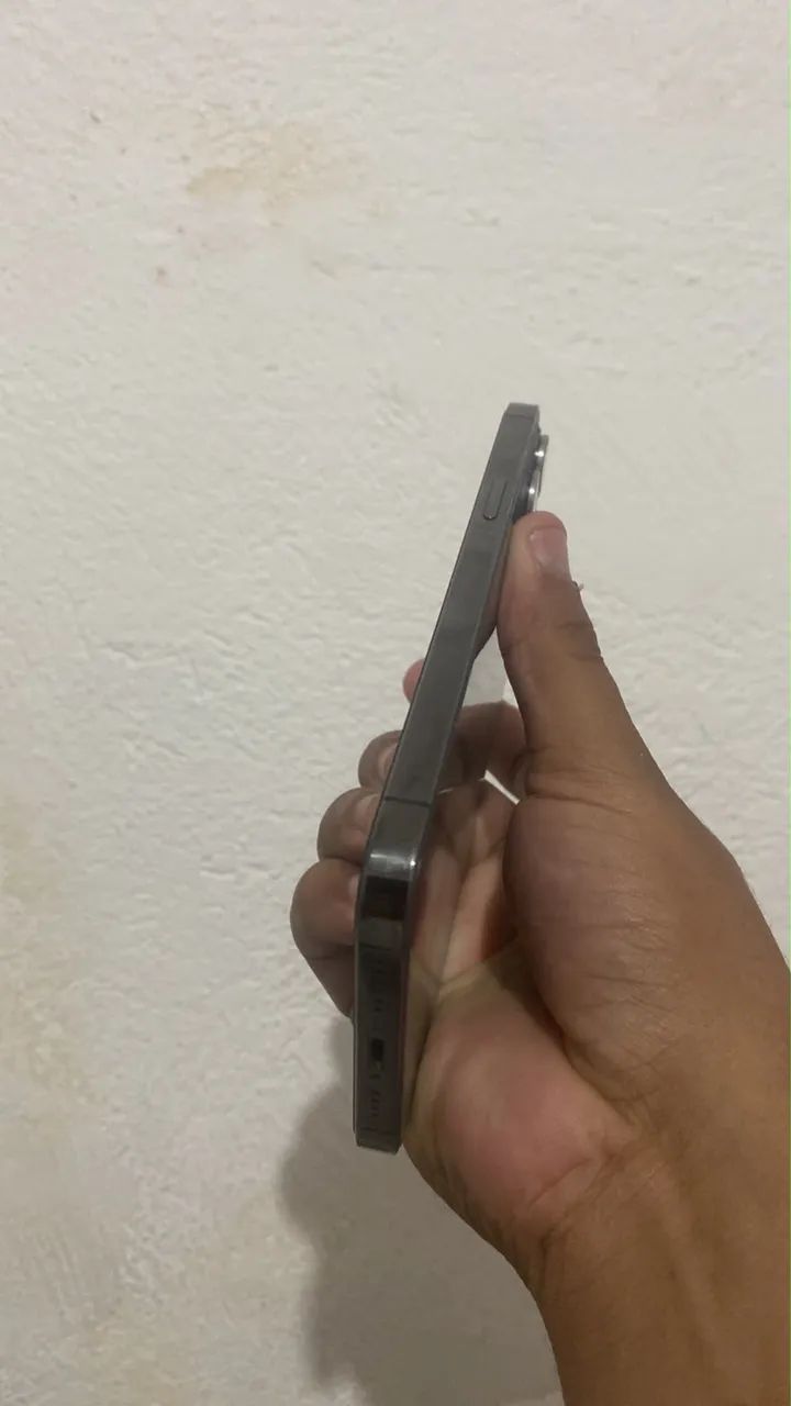 12 pro Max 