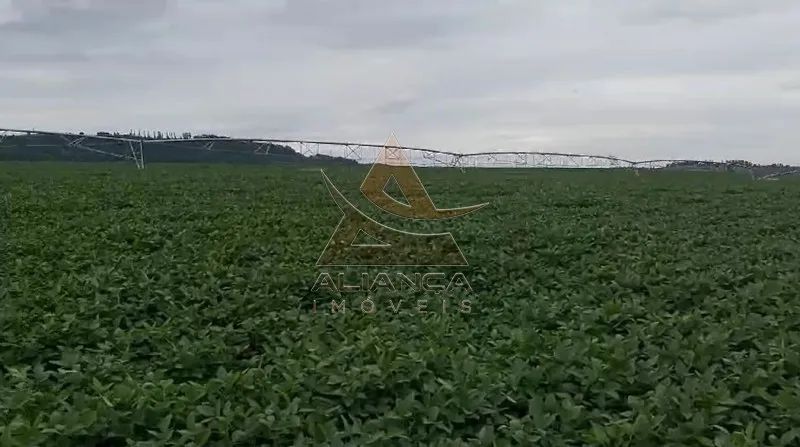 Fazenda - Casa Branca - Zona Rural