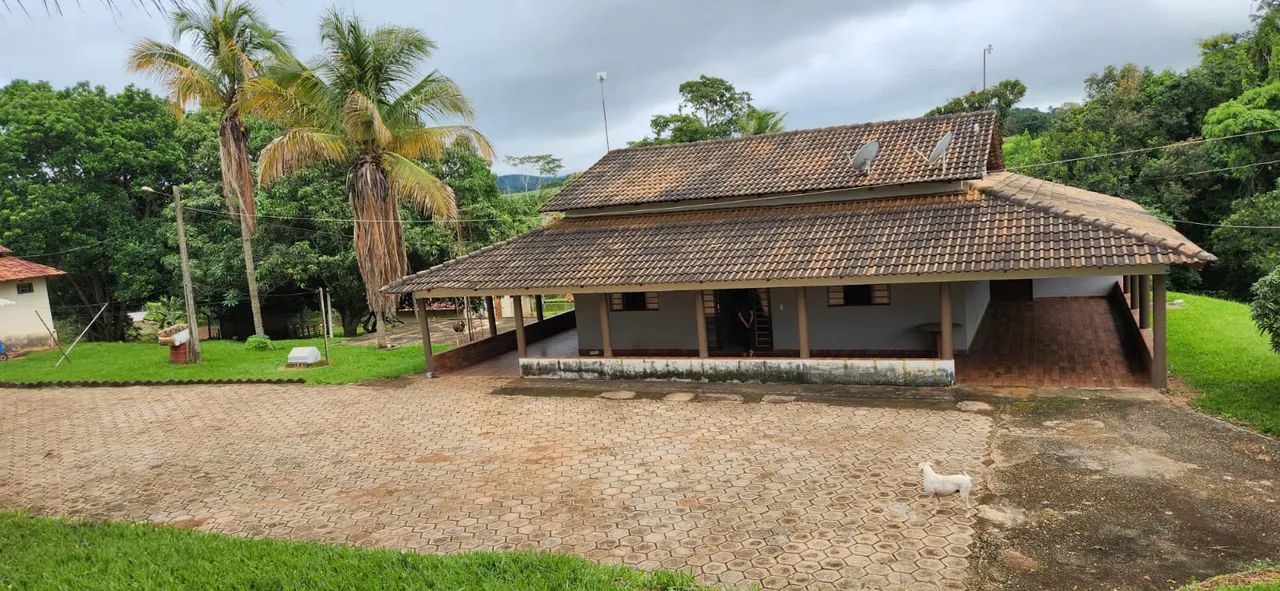 Chácara 4 alqueires em Nerópolis Go - Foto 5