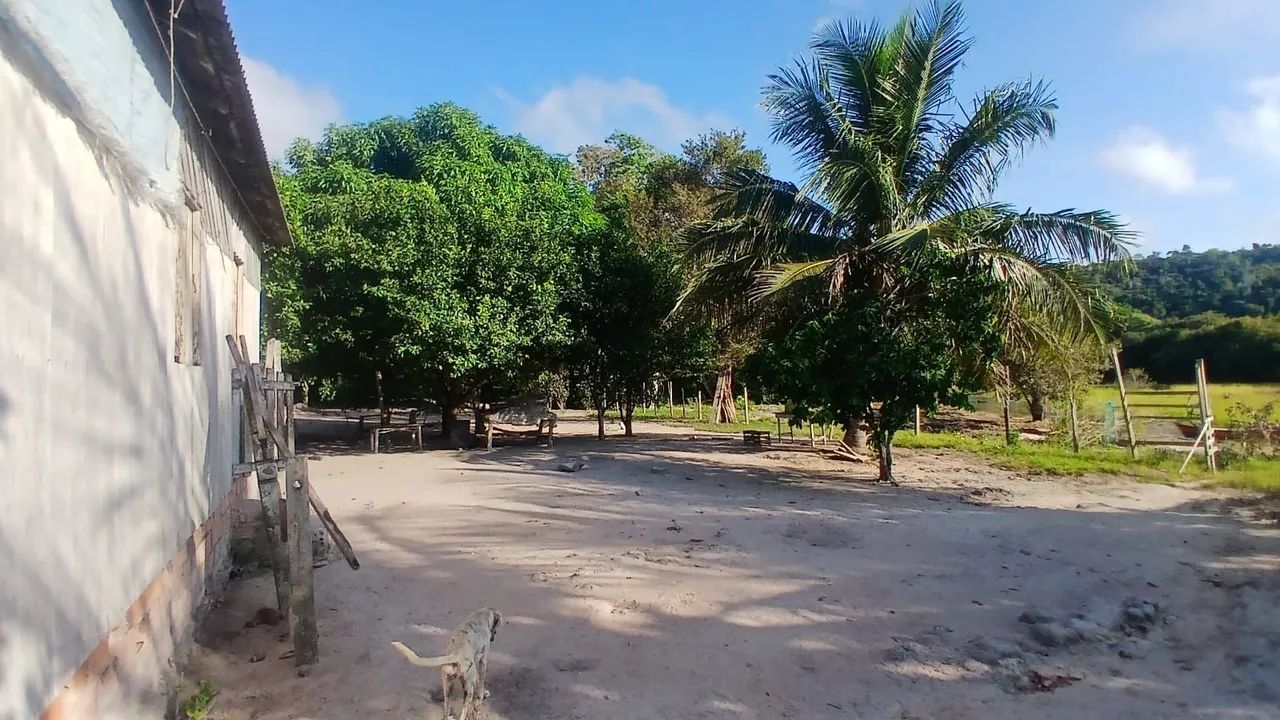 SÍTIO AS MARGENS DO RIO TAPAJÓS ( ARICORÉ) - Foto 3