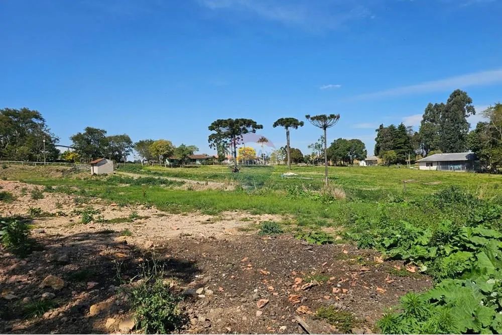 Terreno Rural - Foto 5