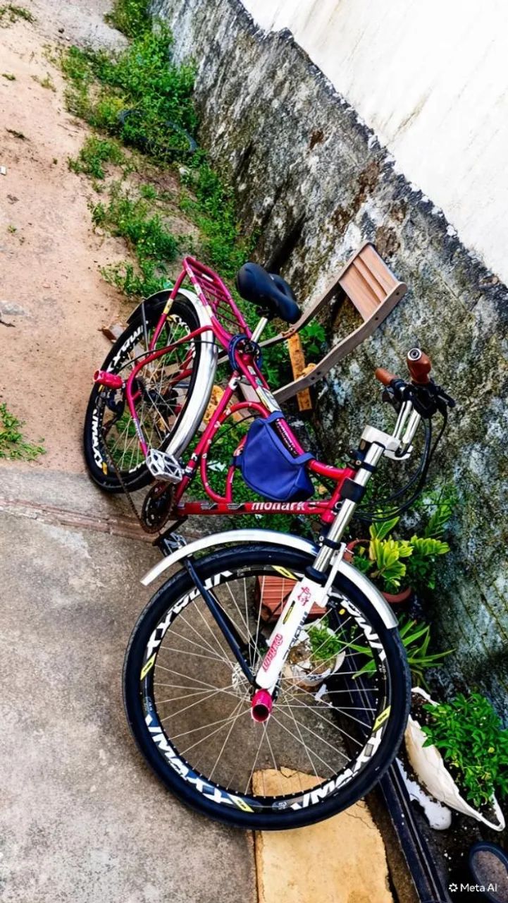 Bicicleta  - Foto 2