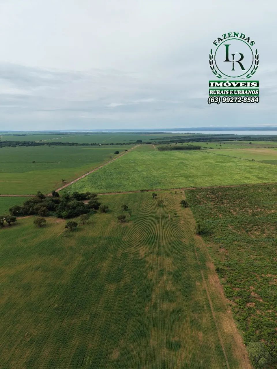 Chácara23000M², Região Prata, Próximo a Palmas - Foto 5