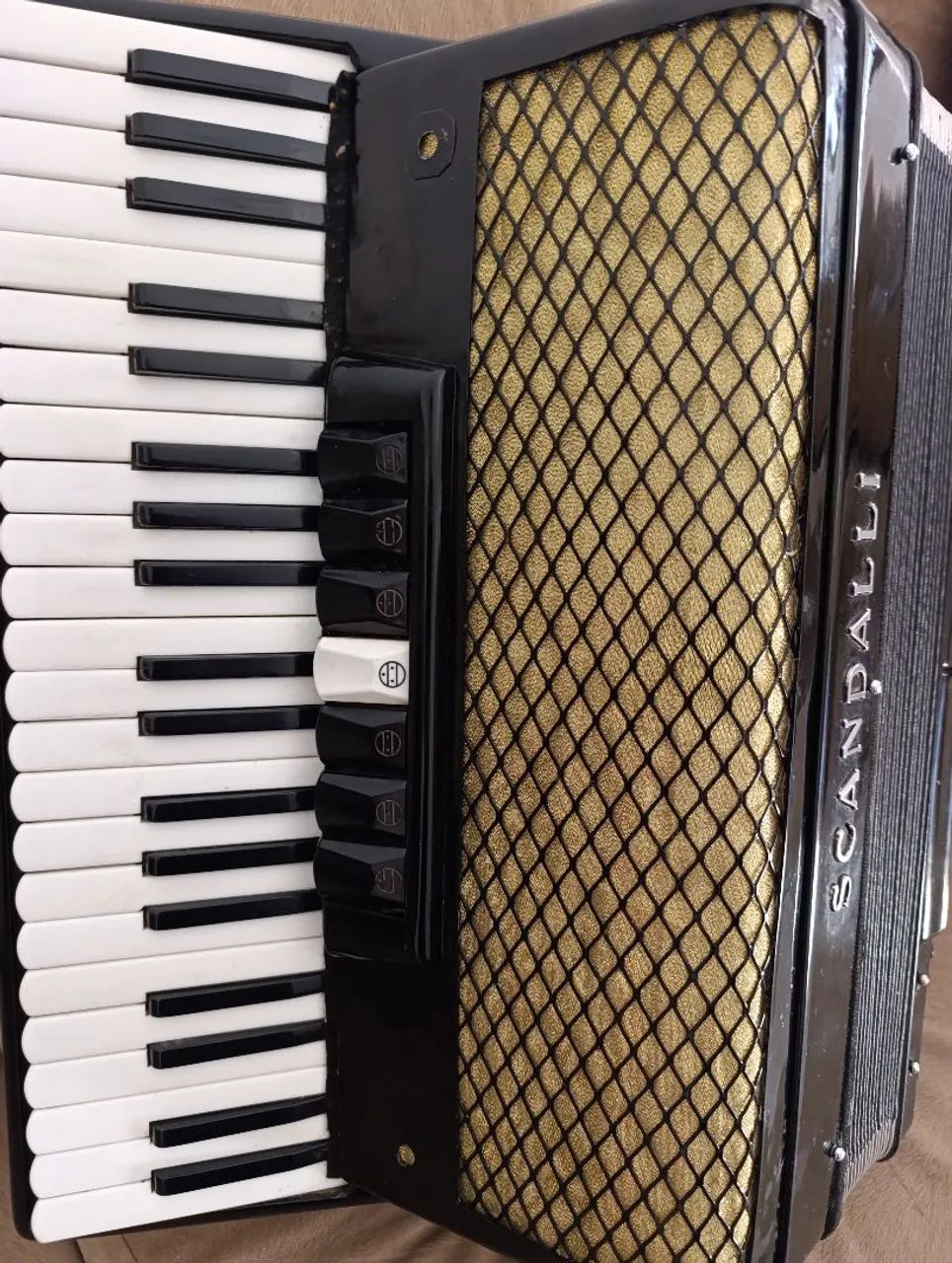 Sanfona, acordeon  - Foto 5