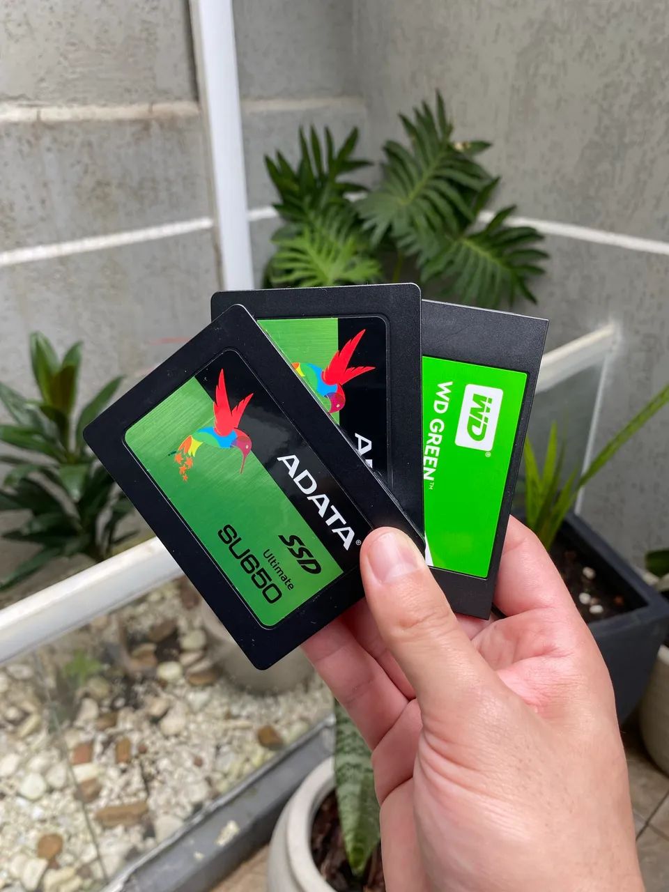03 SSD ADATA E WD - Armazenamento - Sítio Cercado, Curitiba
