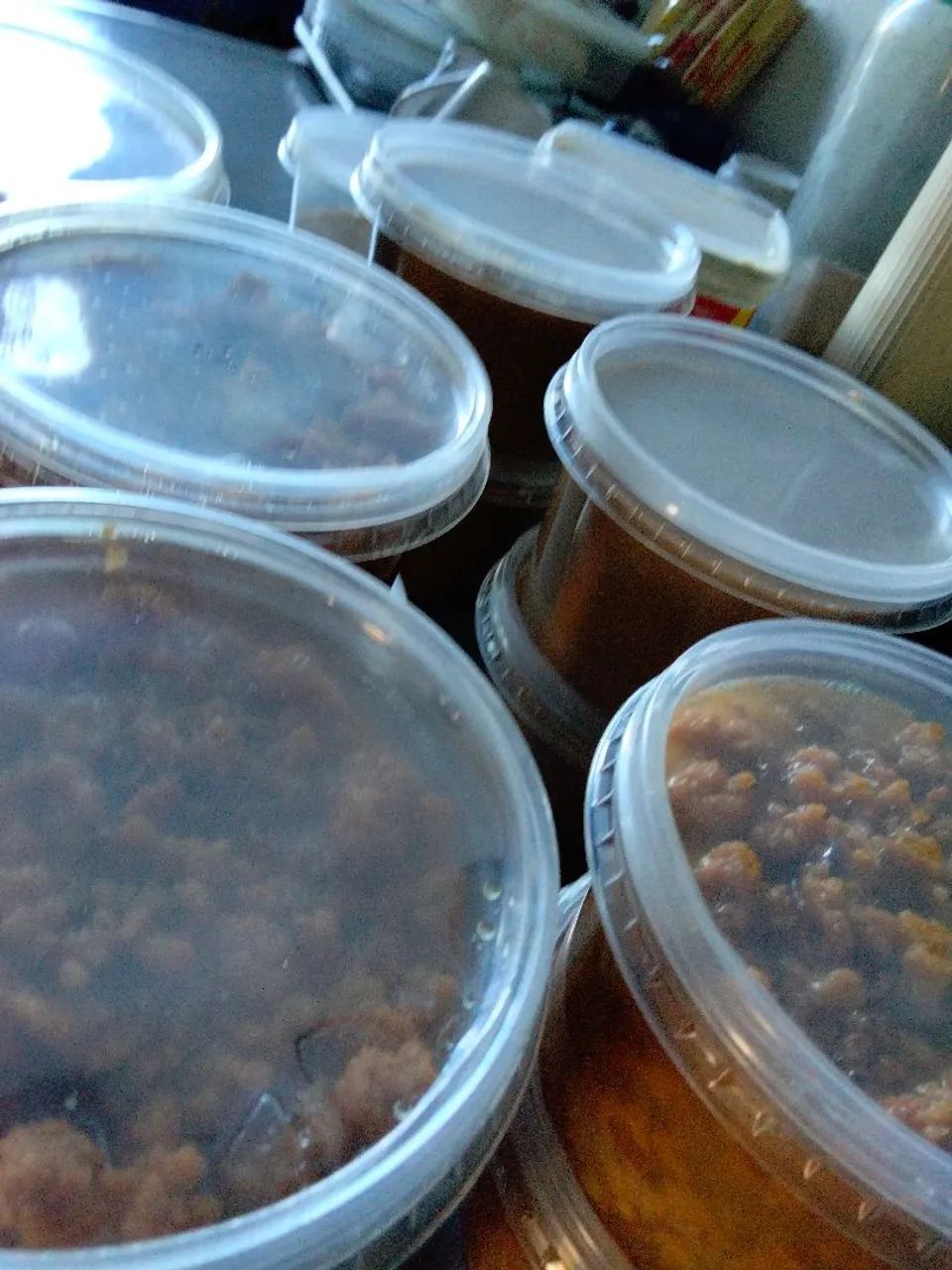 DOCES DE LEITE CASEIROS