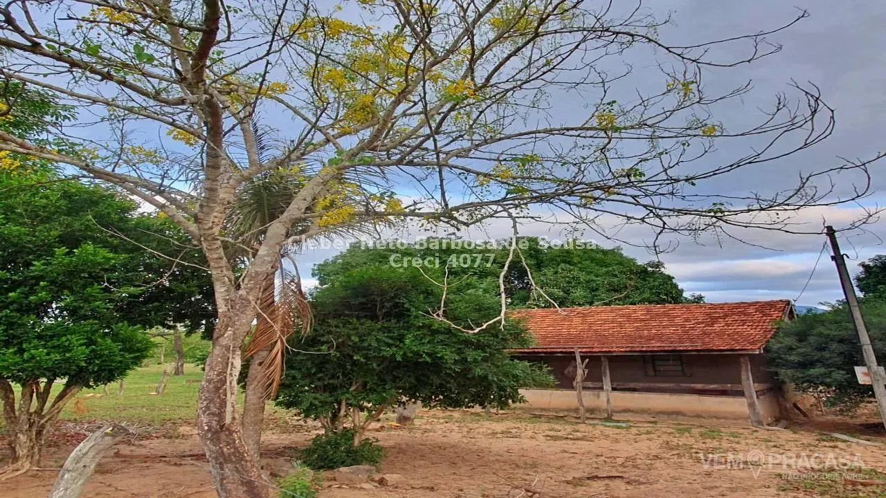 CHÁCARA COM 67 HECTARES COM RIO TABOCO AO FUNDO! - Foto 5