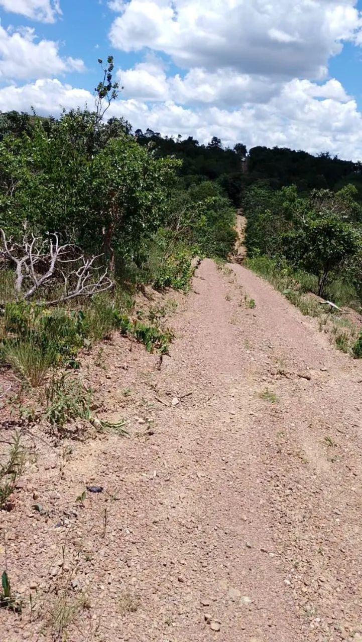 Vendo chácaras de 20.000mts 8.000 - Foto 5