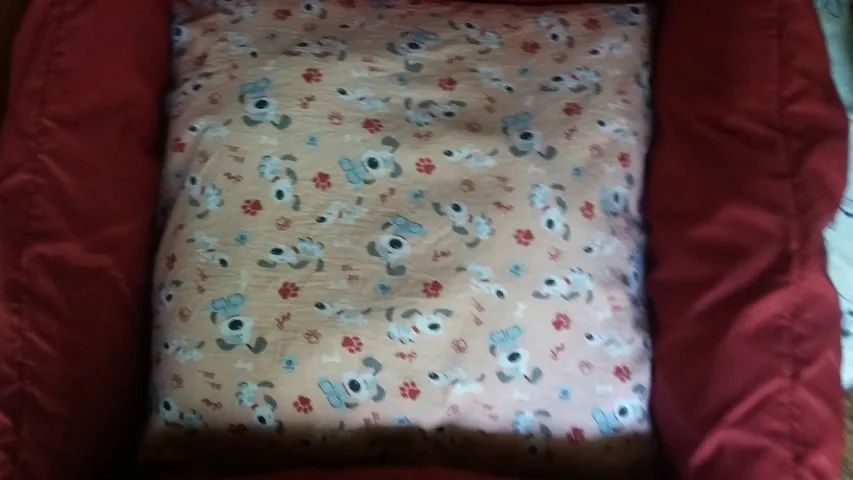 Cama de cachorro - Foto 2