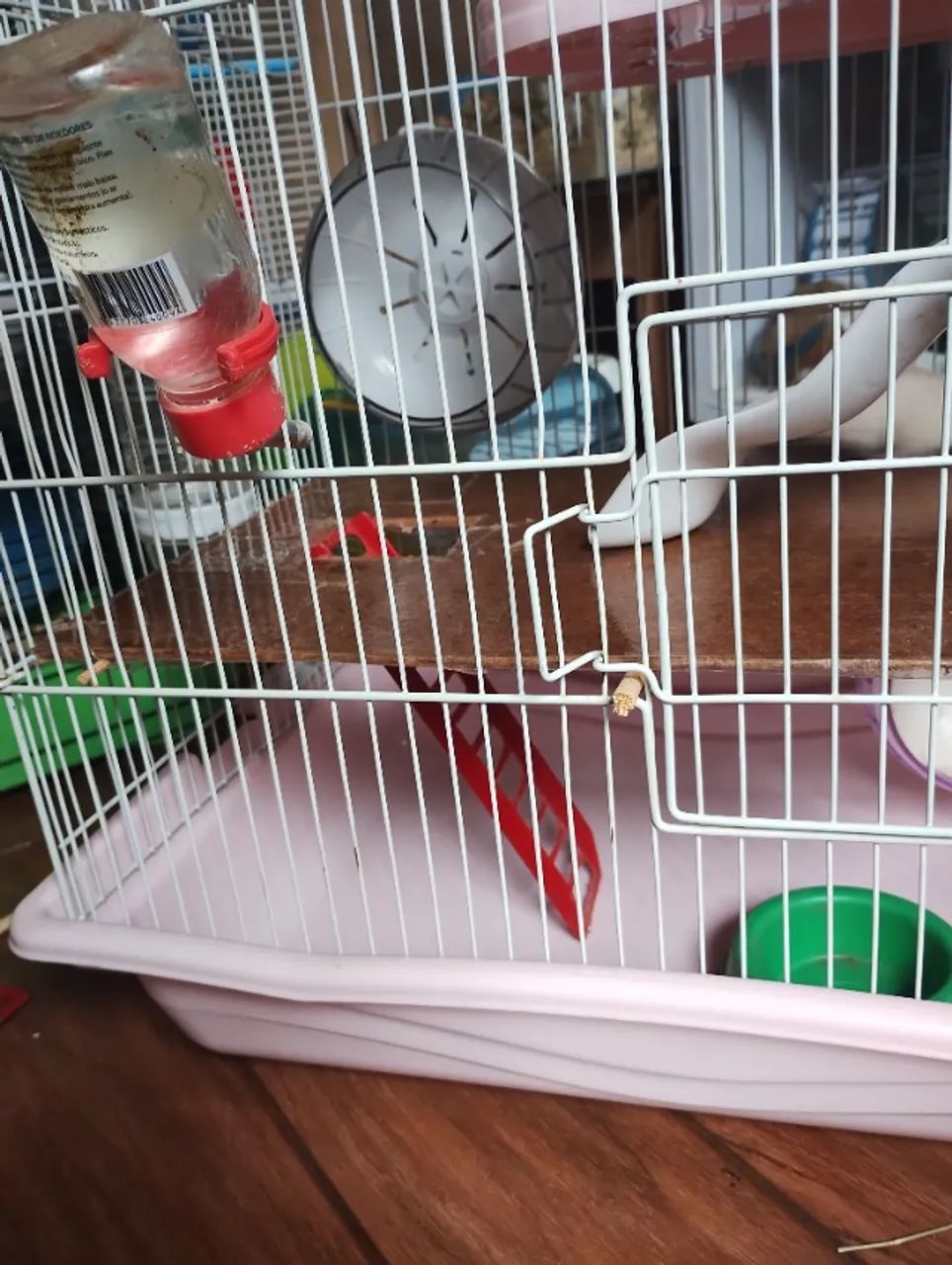 Hamster e gaiola - Foto 3