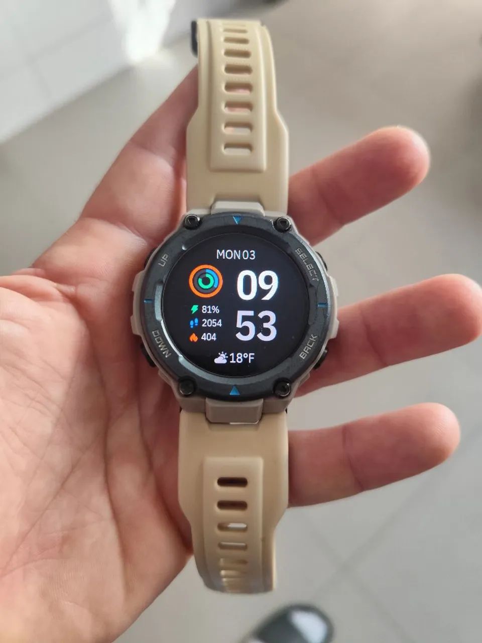 Smartwatch T-Rex Pro