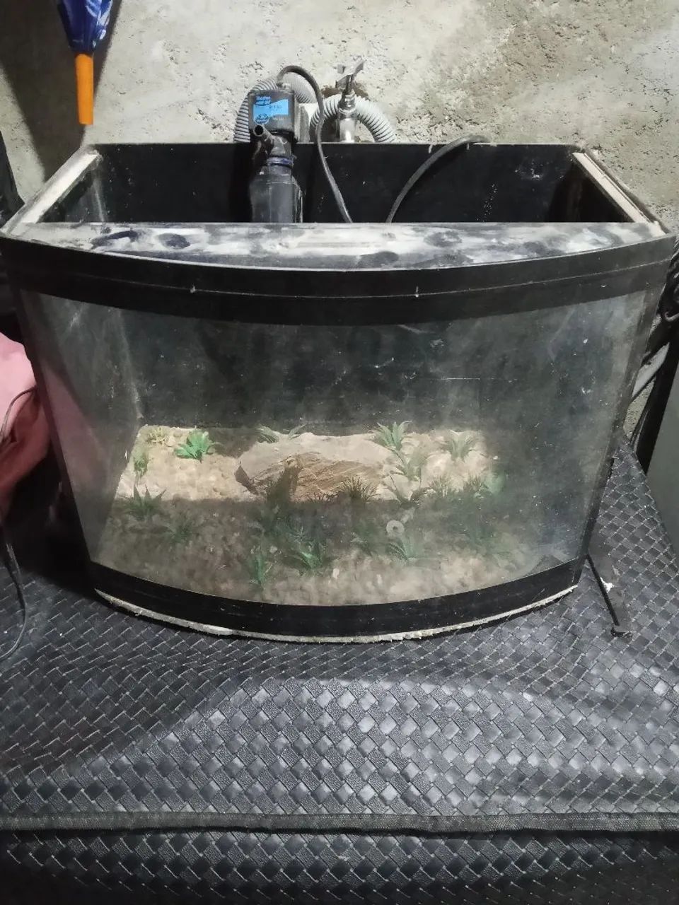 Aquário frente curvada 30 litros