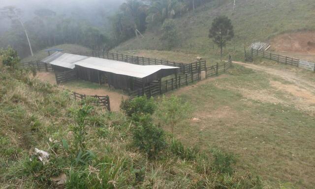 Fazenda 300 mts da BR 116