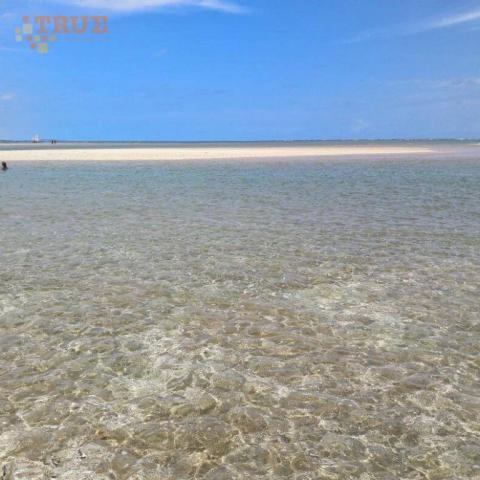 Oportunidade de aluguel por temporada nas piscininhas naturais de serrambi - Foto 12