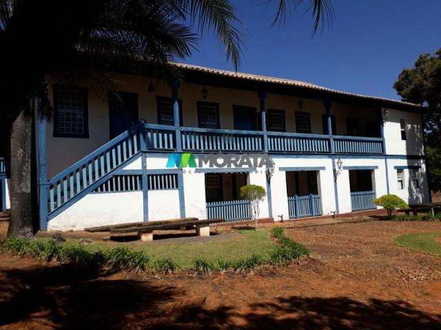 Fazenda à venda - 401 hectares - paraopeba (mg)