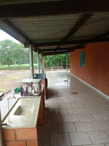 Fazenda - 981 Hectares - Cuiabá/MT - Foto 4