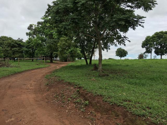 Chácara em Bela Vista de Goiás com casa - Foto 14