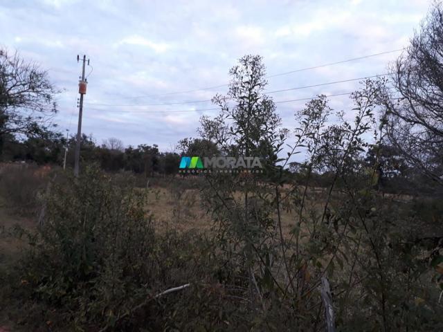 Fazendinha - 08 hectares - paraopeba (mg) - Foto 12