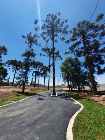 Terreno à venda, 133 m² por r$ 177.581,06 - pinheirinho - curitiba/pr
