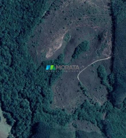 Fazenda à venda - 33 hectares - região de lavras (mg)