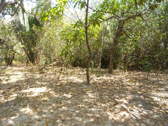 Vendo imóvel na Vila Vitória, com 1.500m² - Foto 9