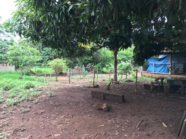 Chácara em Bela Vista de Goiás com casa - Foto 19