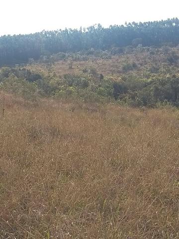 Fazenda em Silvânia - Foto 3