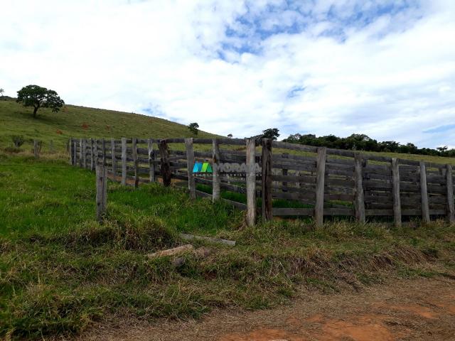 Fazenda à venda - 90 hectares - lavras (mg) - Foto 12