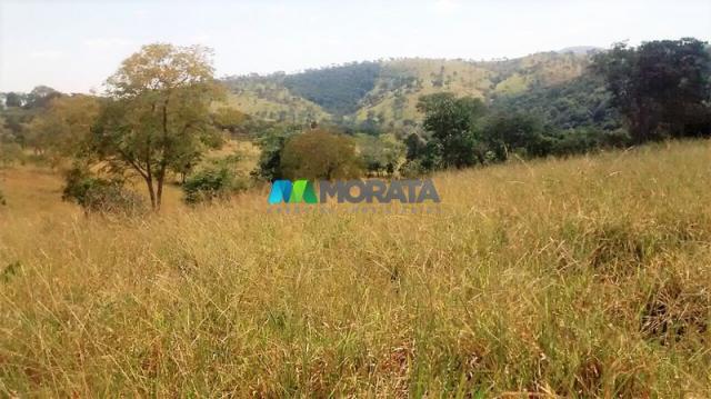 FAZENDA À VENDA - 187 HECTARES - ONÇA DO PITANGUI (MG) - Foto 16