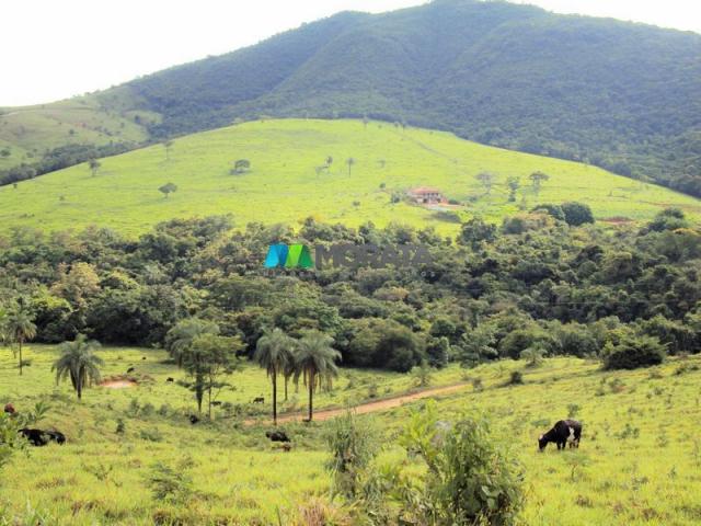FAZENDA - 334 hectares - PARÁ DE MINAS (MG) - Foto 11