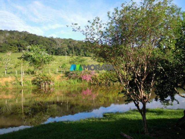Fazenda / haras à venda - 100 hectares - rio casca (mg) - Foto 3
