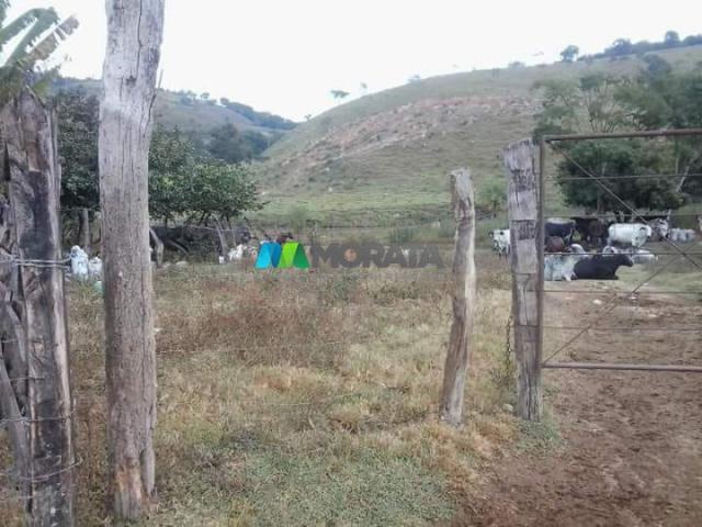 Fazenda - 59 hectares - bonfim (mg) - Foto 4