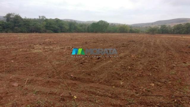 Fazenda à venda - 100 hectares - sete lagoas (mg) - Foto 3