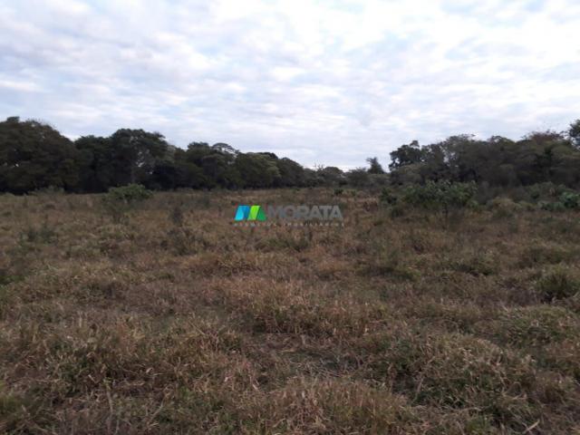 Fazendinha - 08 hectares - paraopeba (mg) - Foto 9