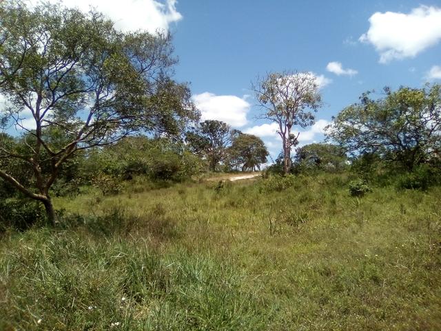 Vendo ou troco terreno / sítio em Alagoinhas Bahia - Foto 6