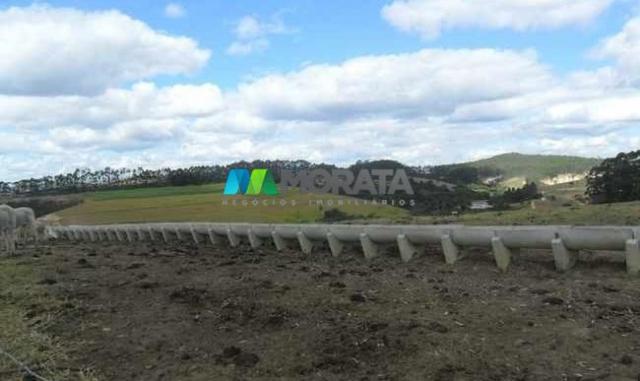 Fazenda pecuária - 220 hectares - belo vale (mg) - Foto 4