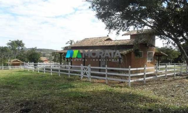 Fazenda pecuária - 220 hectares - belo vale (mg) - Foto 8