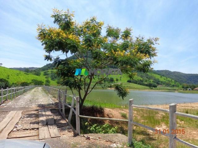 Fazenda à venda - 1.180 hectares - região jequitibá (mg) - Foto 4