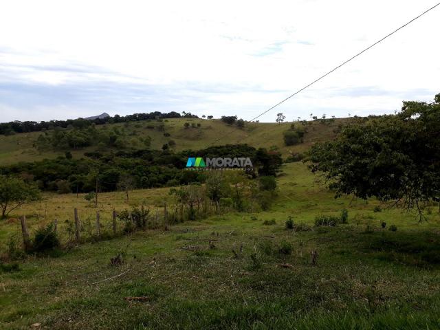 Fazenda à venda - 90 hectares - lavras (mg) - Foto 10