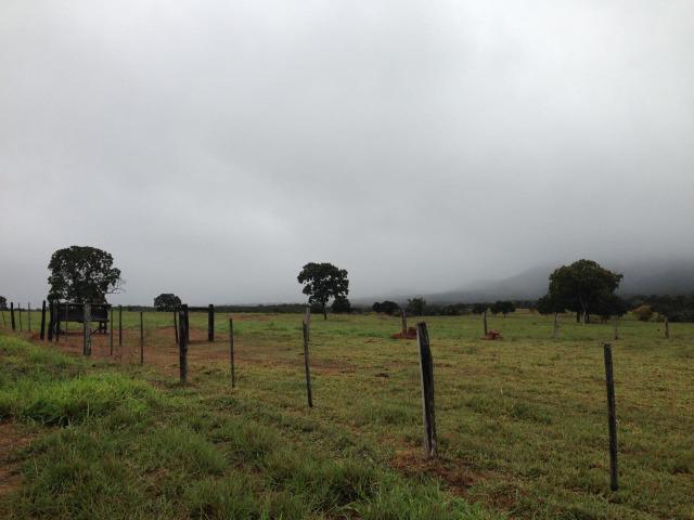 Fazenda - 1100 Hectares - Cáceres/MT - Foto 14