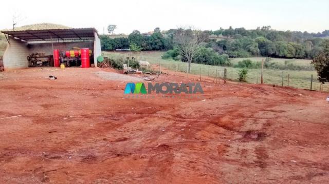 Fazenda à venda - 75 hectares - onça do pitangui (mg) - Foto 8