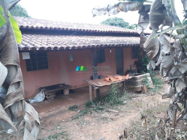 Fazendinha - 08 hectares - paraopeba (mg) - Foto 4