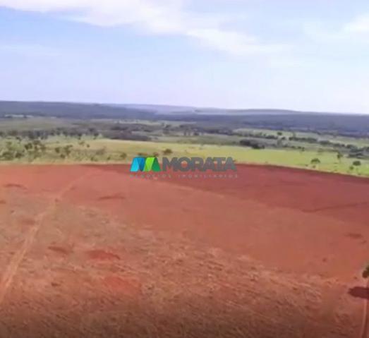 FAZENDA À VENDA – 300 HECTARES – REGIÃO DE PARÁ DE MINAS (MG) - Foto 7