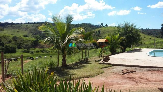 Fazenda a venda - 126 hectares - santa maria de itabira (mg) - Foto 7