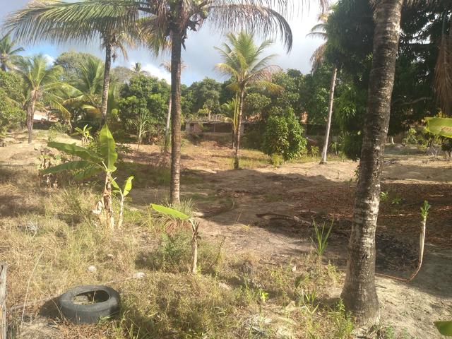Vendo um sitio - Foto 3